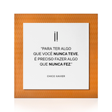 Quadro Decorativo "Para ter algo que você nunca teve..."