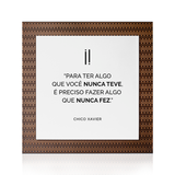 Quadro Decorativo "Para ter algo que você nunca teve..."