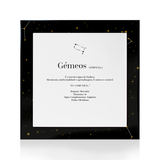 Quadro Signo Gémeos