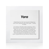 Quadro Significado do Nome Yara