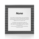 Quadro Significado do Nome Nuno